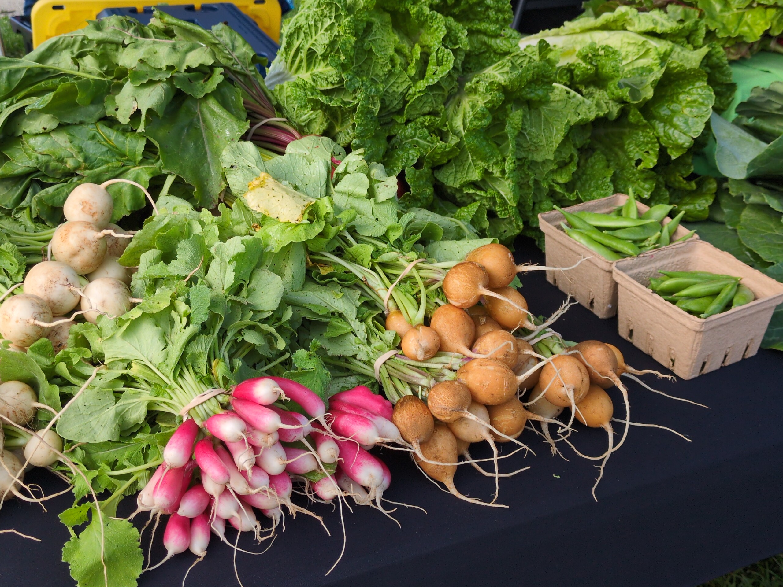 Big bunches of pink-and-white french breakfast radishes, orange golden helios radishes, and white hakurei turnips, alongside leafy greens and baskets of peas on a farmers market table.